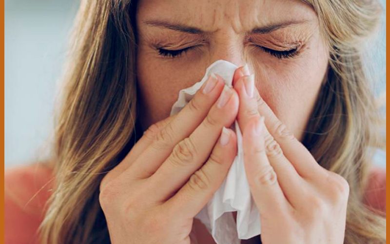 Ganoderma Contra Las Alergias