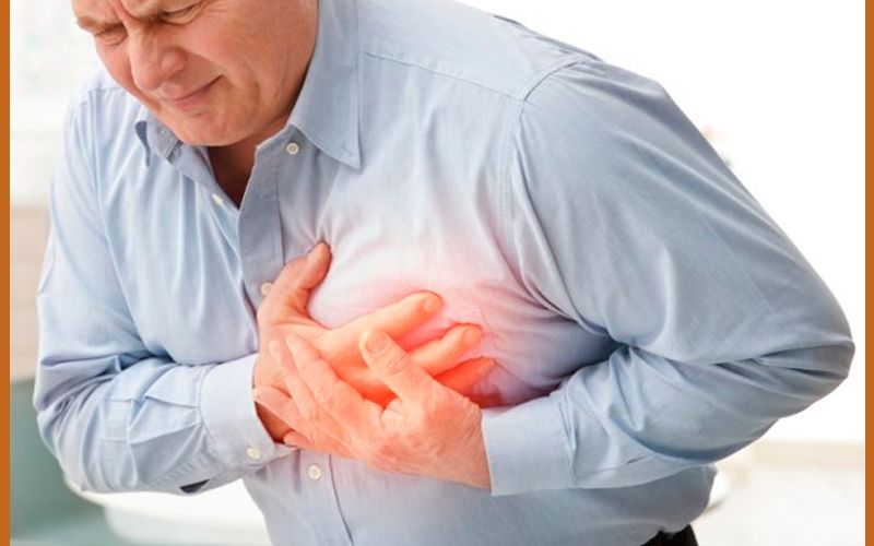 Ganoderma Contra Las Enfermedades Cardiacas