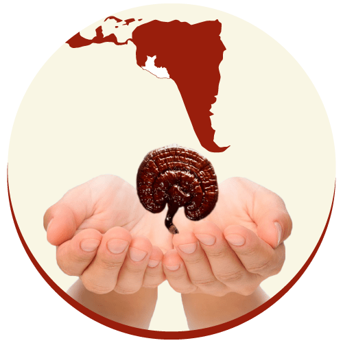 Mision Del Reinoganoderma