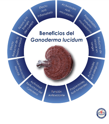 Beneficios Del Ganoderma