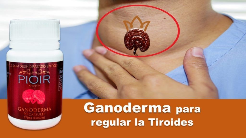 Como Ayuda El Ganoderma Lucidum Reishi A La Tiroides