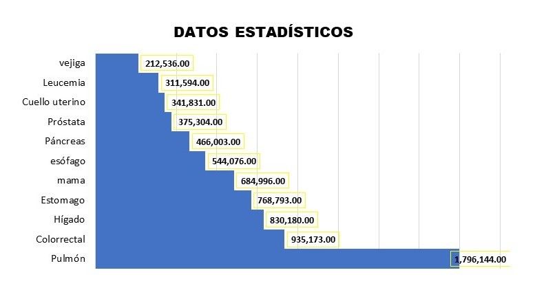 Datos Estadisticos Del Cancer