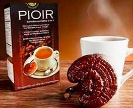 Ganoderma