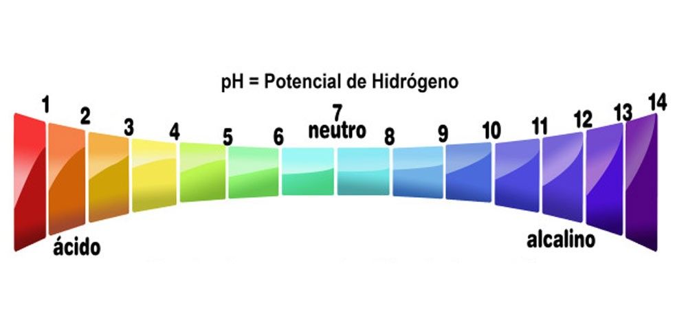 Ph Potencial De Hidrogeno