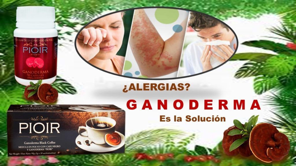 Aportes Del Ganoderma Lucidum En El Tratamiento De Las Alergias
